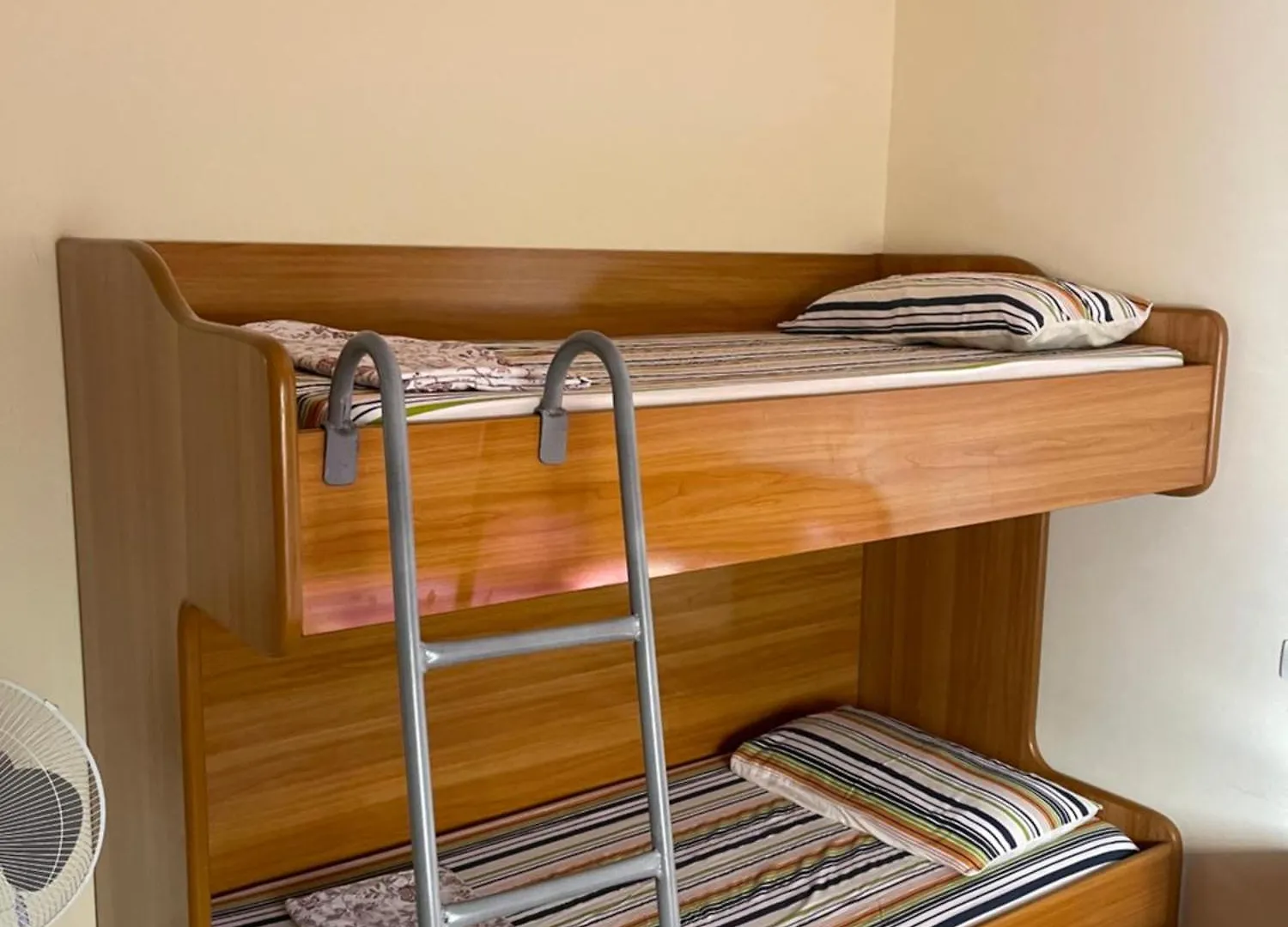 Apartament For Rent In Shengjin Albania